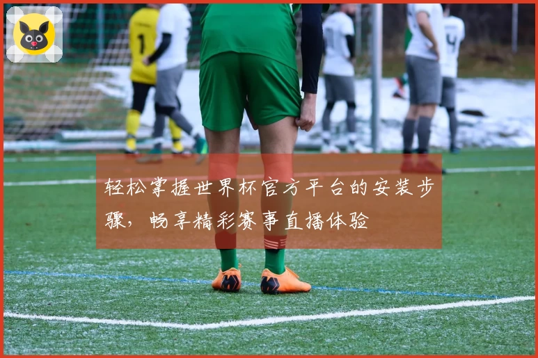 轻松掌握世界杯官方平台的安装步骤，畅享精彩赛事直播体验