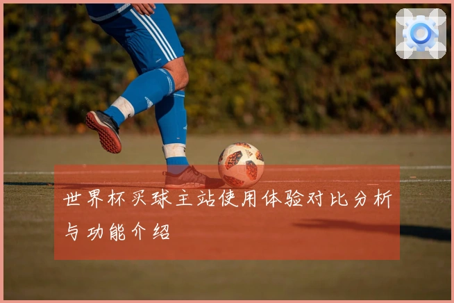 世界杯买球主站使用体验对比分析与功能介绍