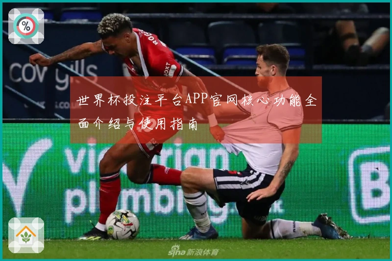 世界杯投注平台APP官网核心功能全面介绍与使用指南